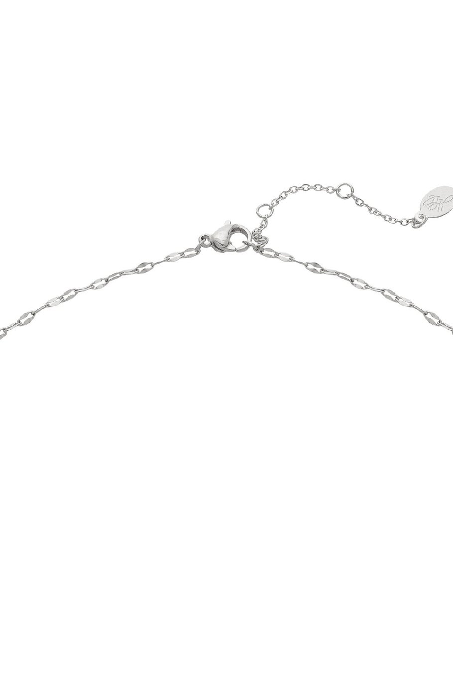 Kolye Kurt Silver Color Stainless Steel Resim4
